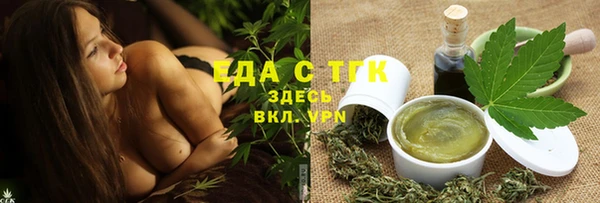 индика Горняк
