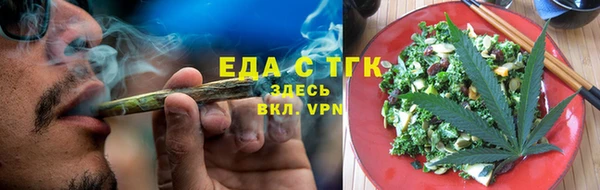 индика Горняк