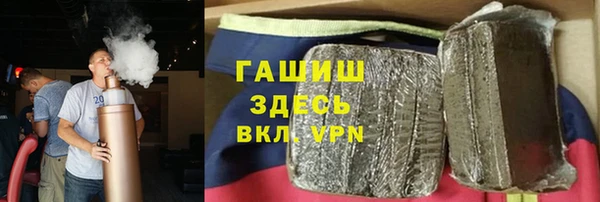 индика Горняк