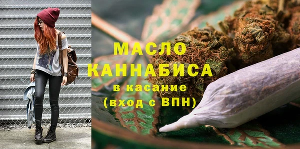 индика Горняк
