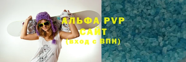 индика Горняк