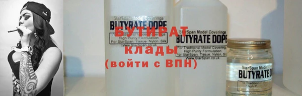 индика Горняк
