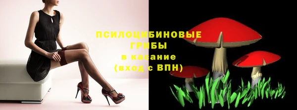 прущие крисы Горнозаводск