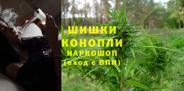 индика Горняк