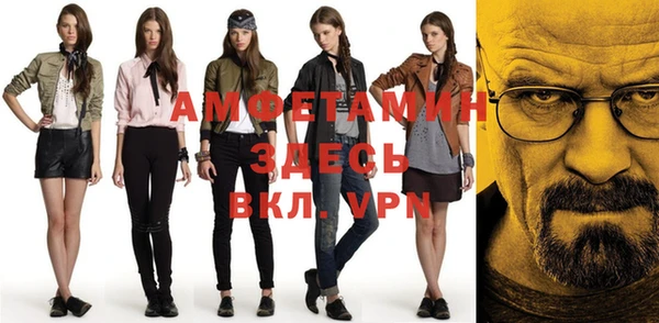 индика Горняк