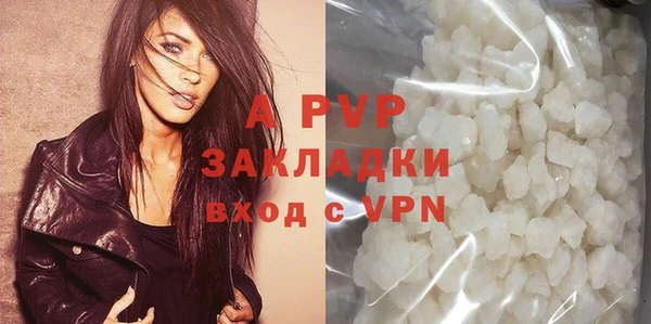 индика Горняк