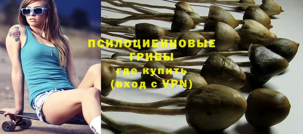 прущие крисы Горнозаводск