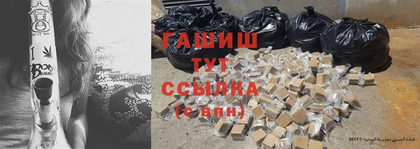 индика Горняк