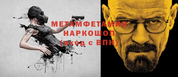 индика Горняк