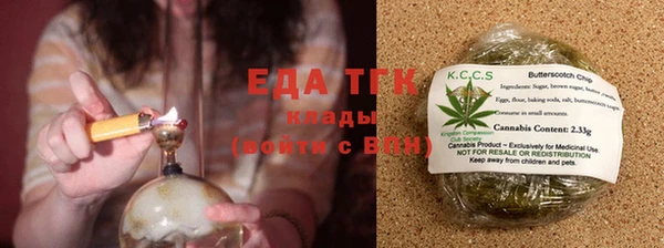 индика Горняк