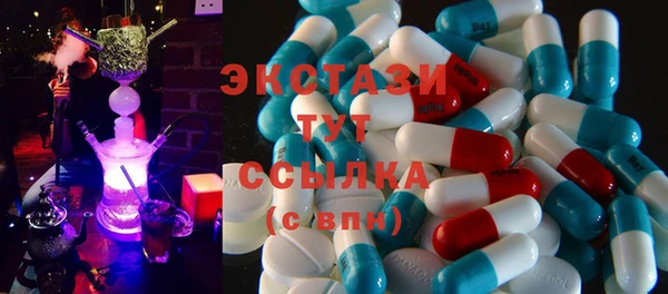 индика Горняк