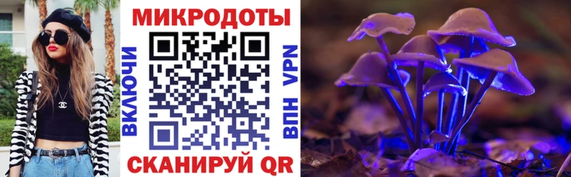 наркотики  Владикавказ  hydra онион  Галлюциногенные грибы мухоморы 